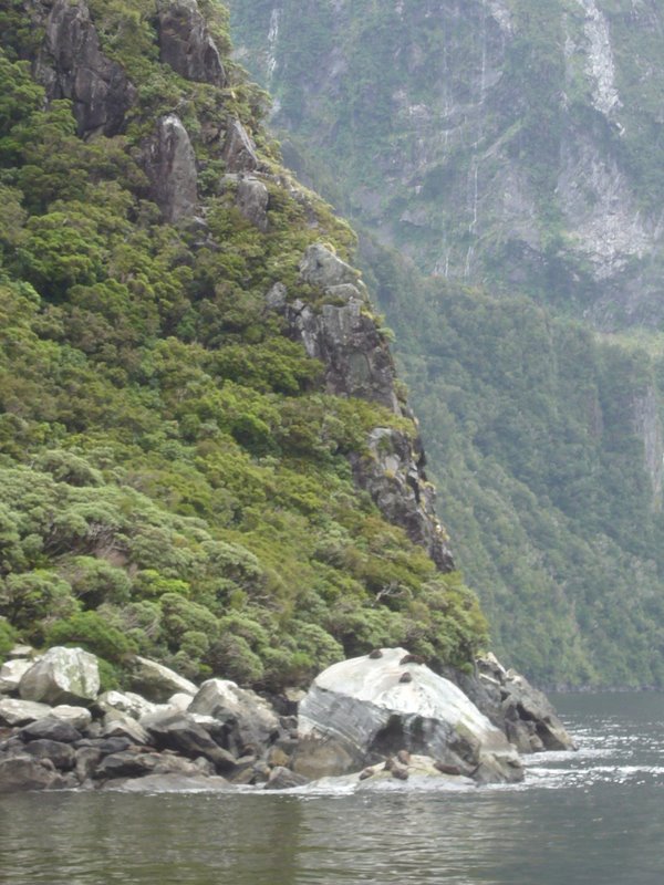 Travel - New Zealand - Milford Sounds